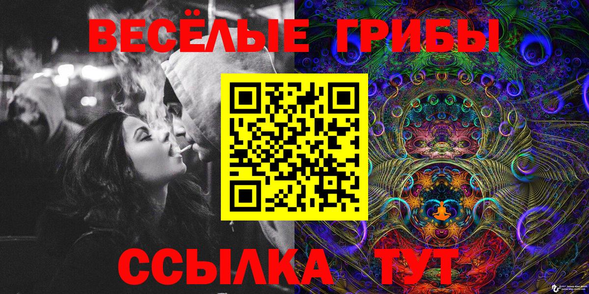 Сунжа  сколько стоит  Вход с VPN  Галлюциногенные грибы мухоморы 